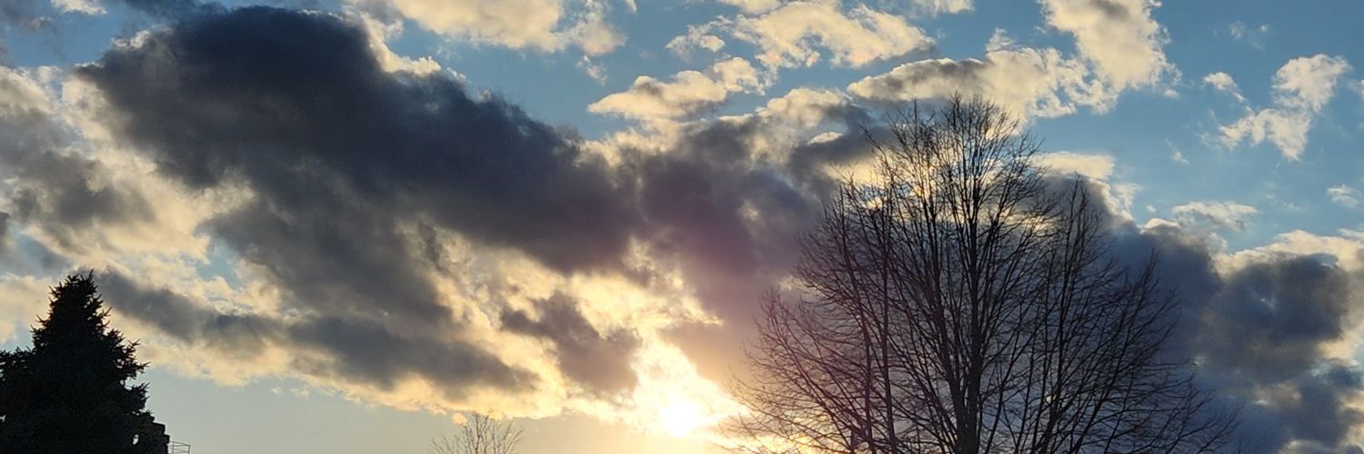 EmilyMichelle00's profile banner image