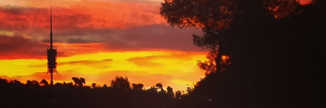 Carles Prats Padrós banner