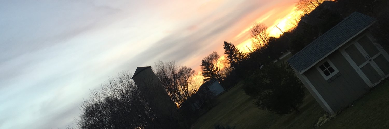 baconboylax's profile banner image