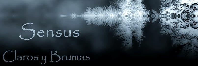 Marco Sensus banner