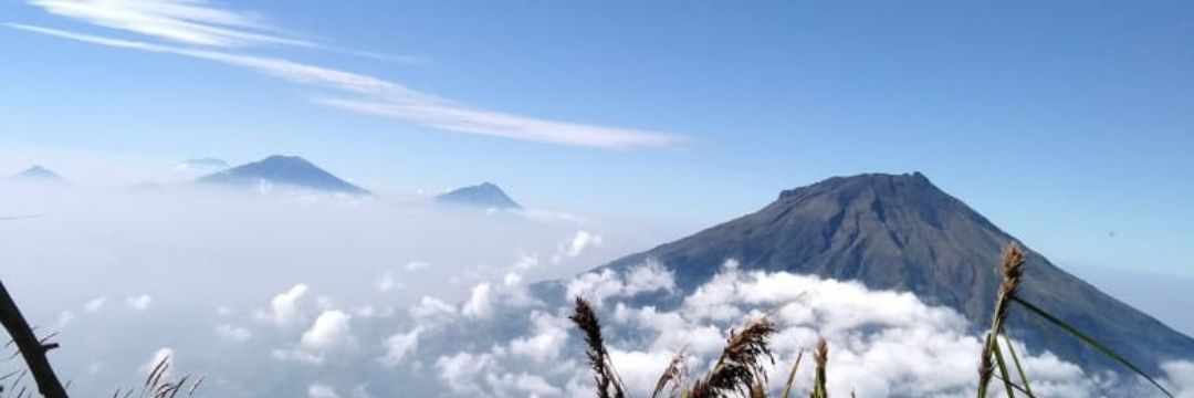 viaaaaaaa_'s profile banner image