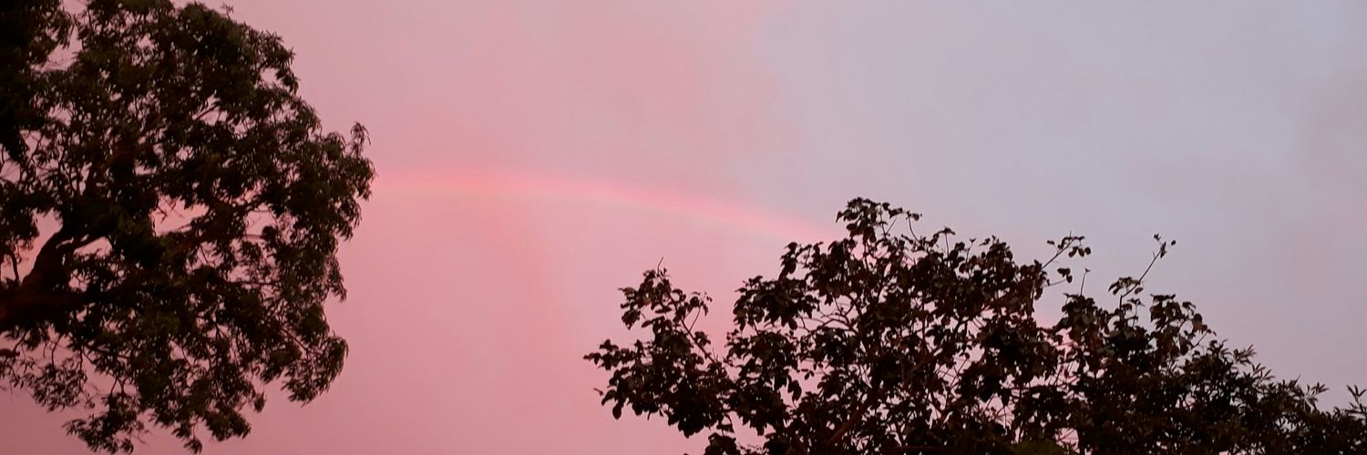 janaysblblsn's profile banner image
