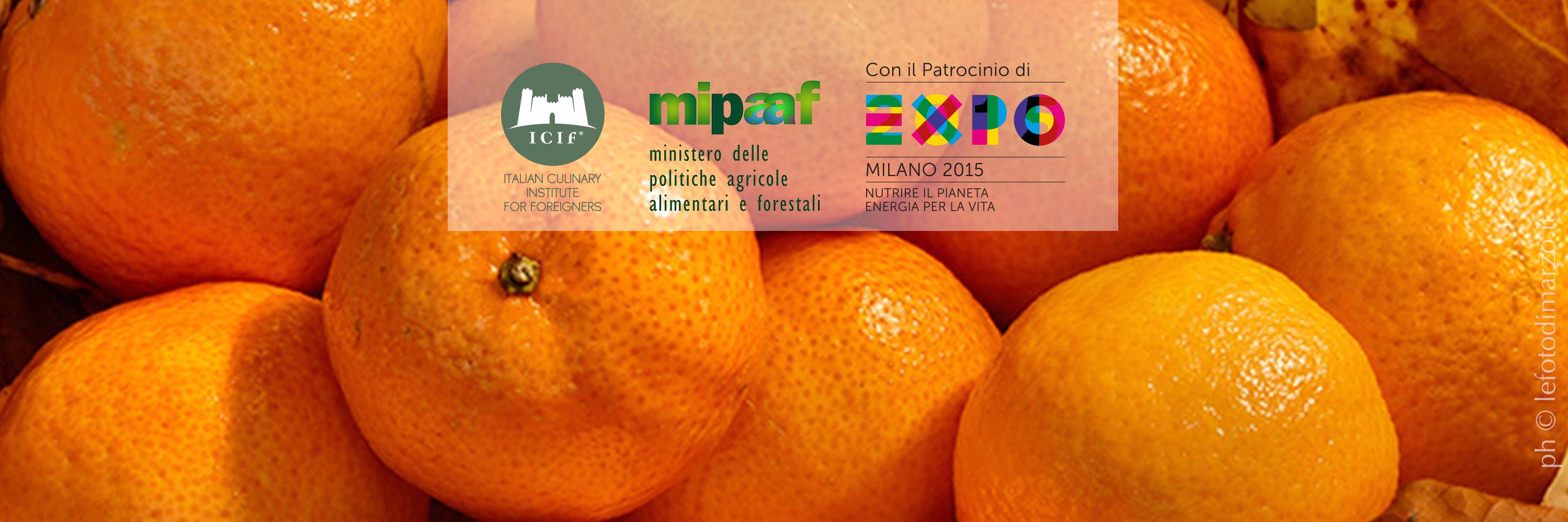 nutritomagazine's profile banner image