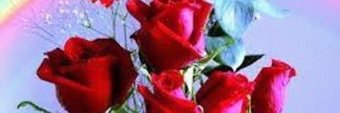 kamalkumar71's profile banner image