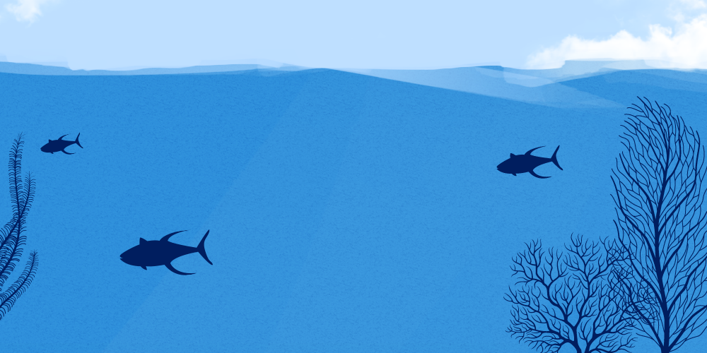 Tonno Mareblu banner