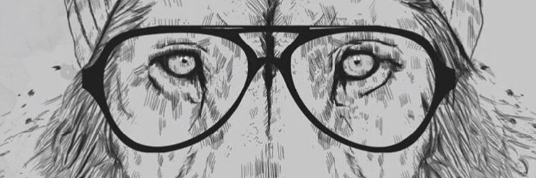 Mehrda_d's profile banner image