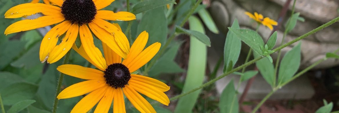 _mckenziexo's profile banner image