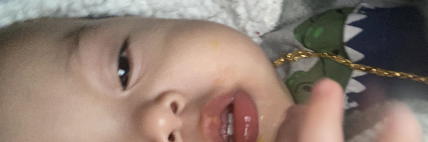 Lilysaing_'s profile banner image