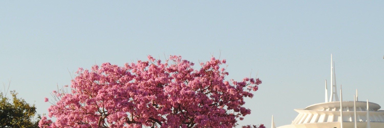kaloschu's profile banner image