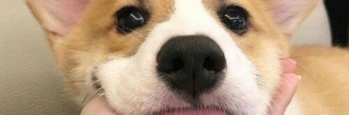 kllslln's profile banner image