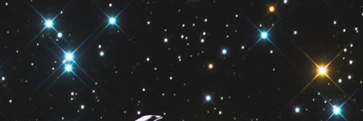 brod_brian's profile banner image