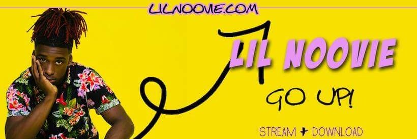 RealLilNoovie's profile banner image