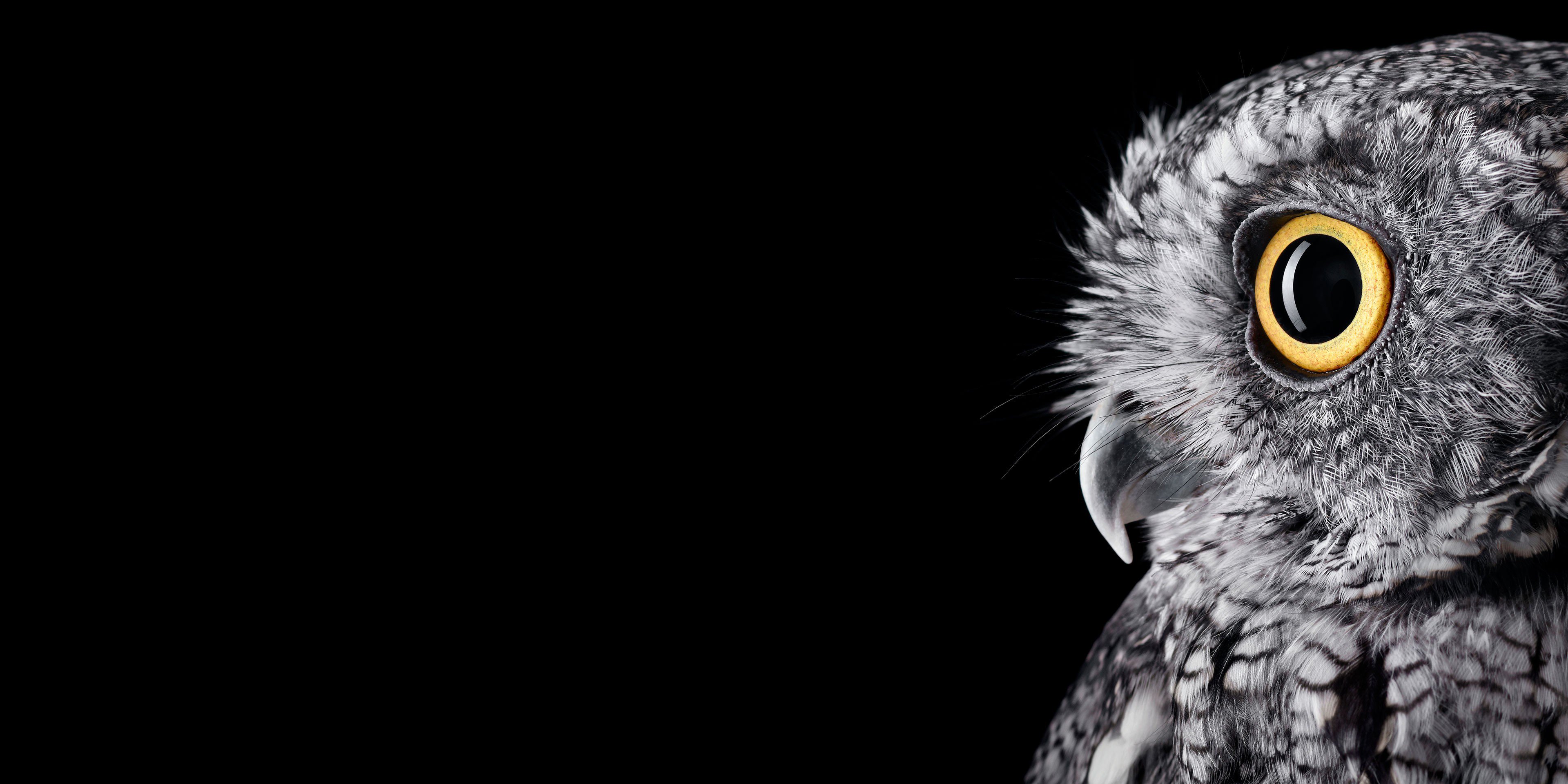 Pun_doctor's profile banner image