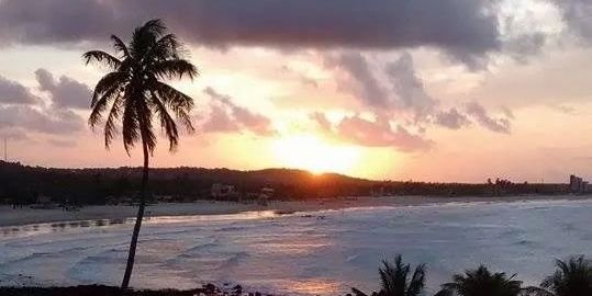 Hector Miller banner