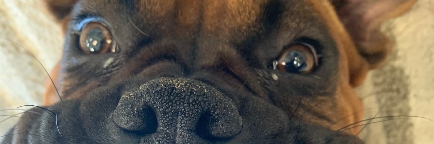 HallBrycehall's profile banner image