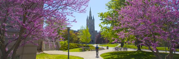 westernuVasc Profile Banner