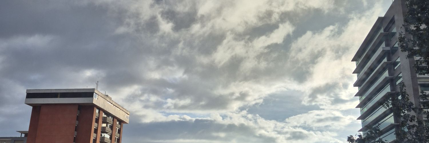 ElAriii_ banner