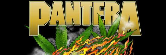 cale_olson333's profile banner image