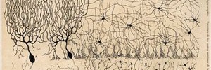 solucionhidro's profile banner image
