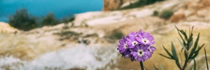 I_ahkarimi's profile banner image
