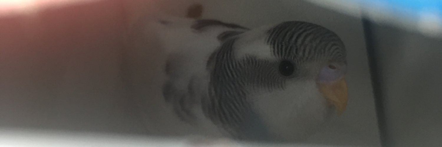 JoelFetzer's profile banner image