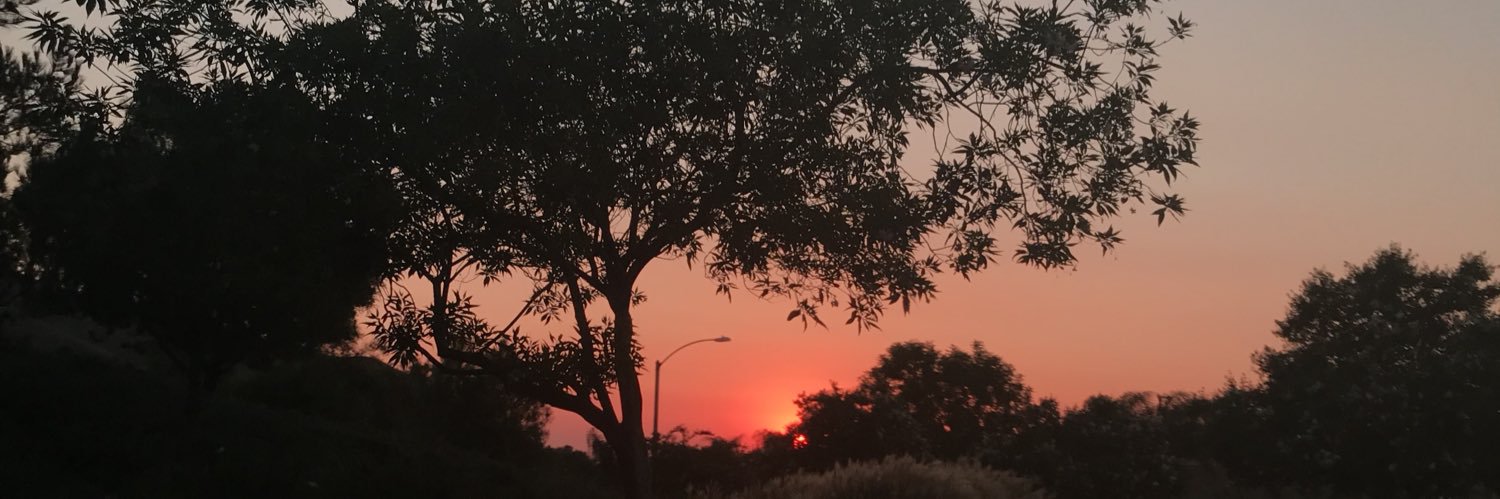 ashinthecut's profile banner image