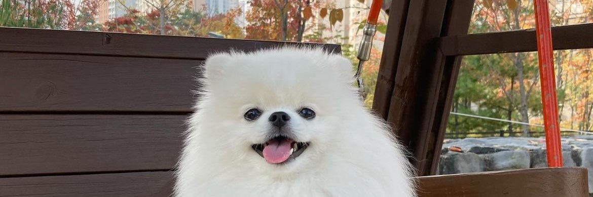 Adam Mickiewicz banner