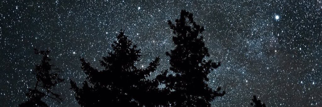XXIMARCY's profile banner image