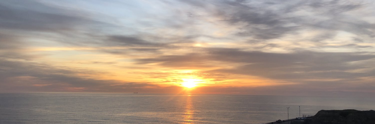 Elliexthompson's profile banner image