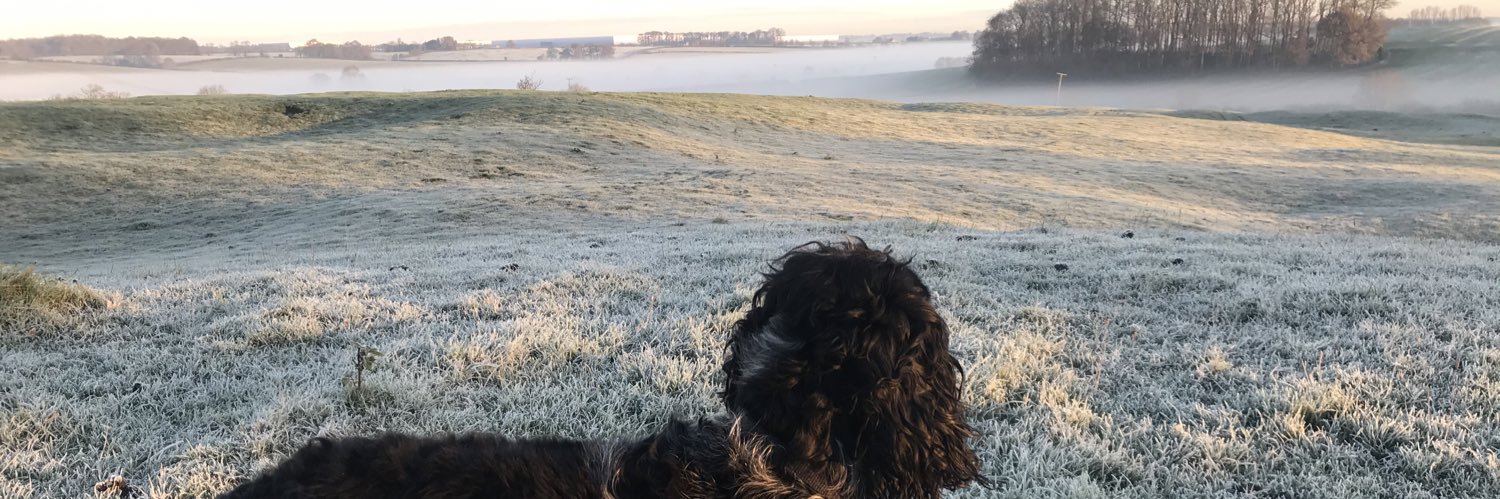 LydiaBrowne1's profile banner image