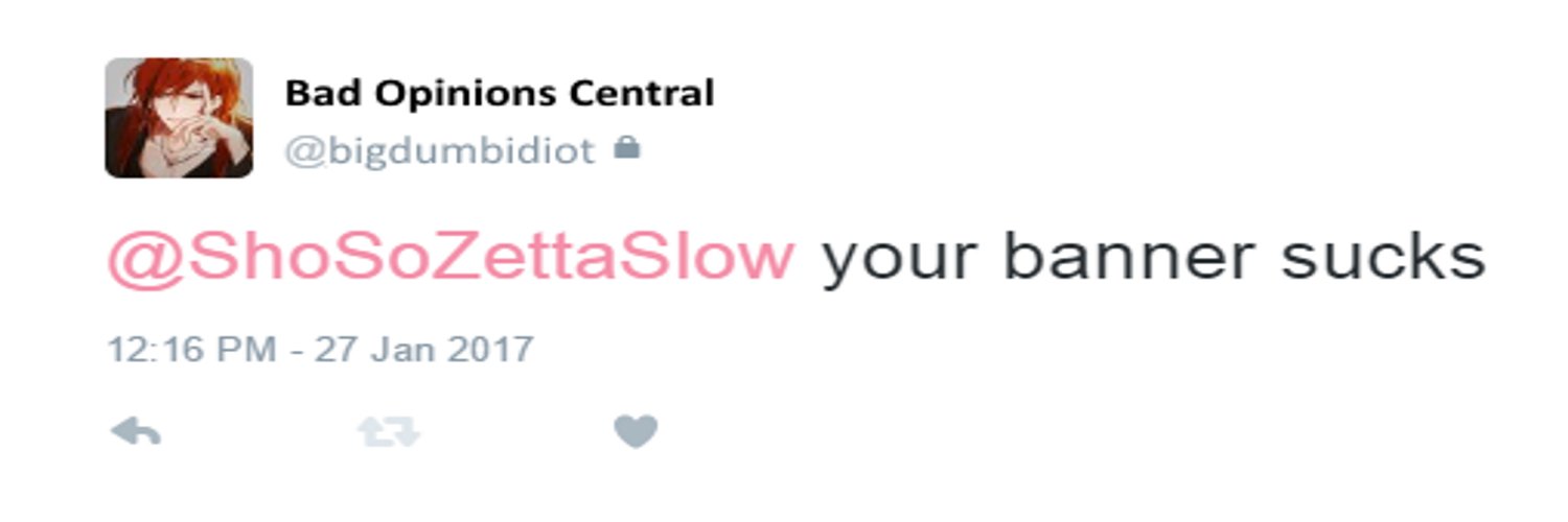 ShoSoZettaSlow's profile banner image