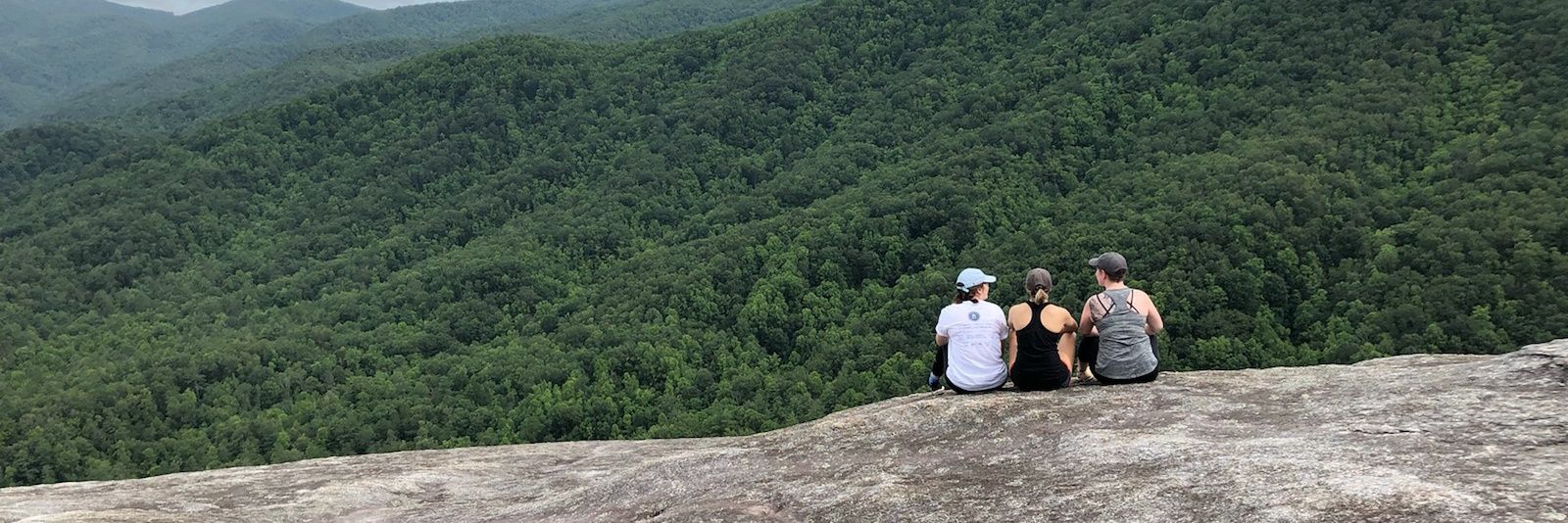 Anna Pogarcic banner