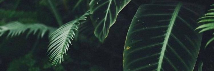 GeorgiaRMK's profile banner image
