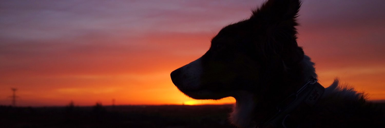 maca1972's profile banner image