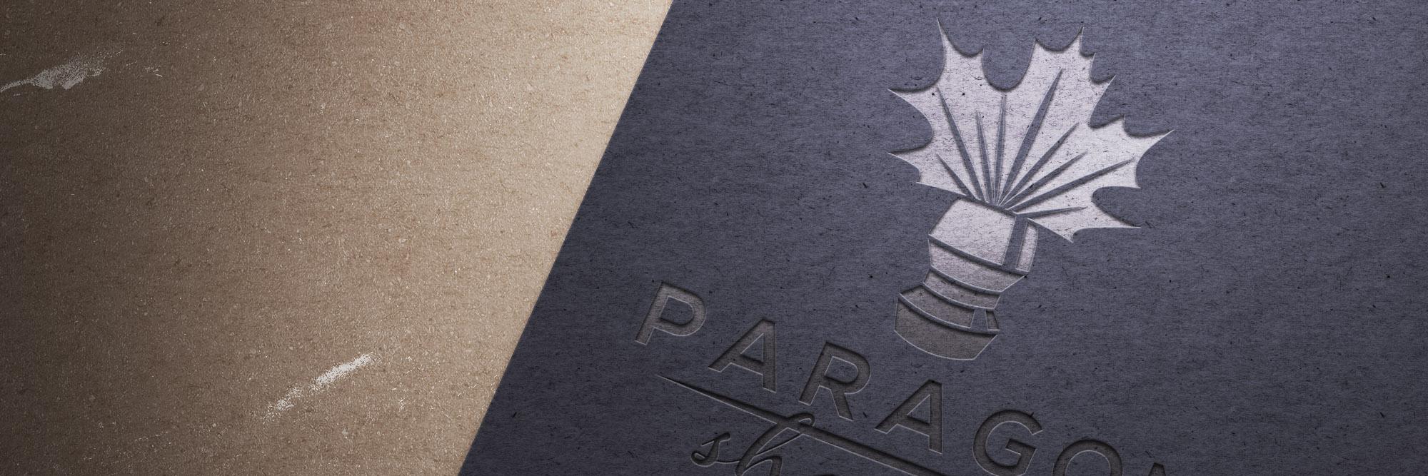 paragonshaving's profile banner image
