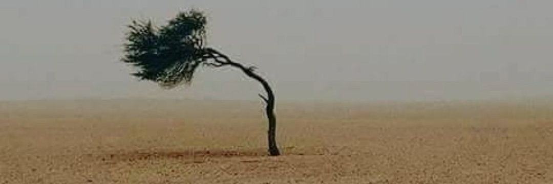 baareg's profile banner image