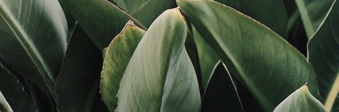 basma__'s profile banner image