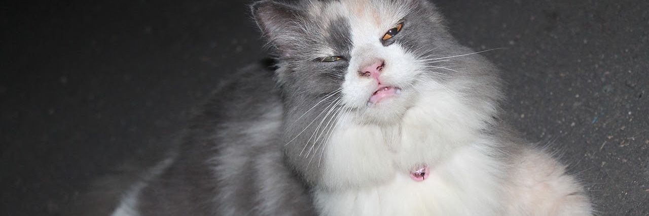 stroberikecuttt's profile banner image