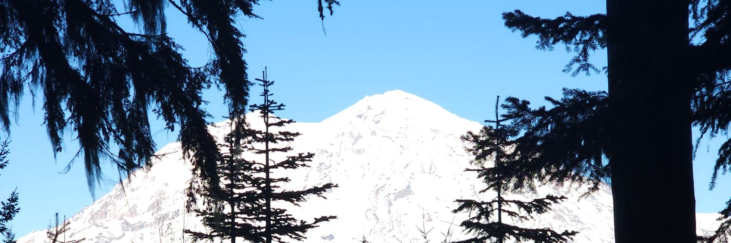 CodyLondon's profile banner image