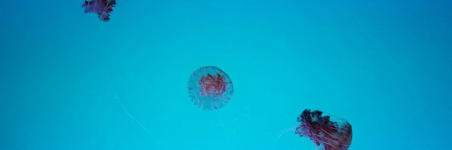 orbpixel's profile banner image