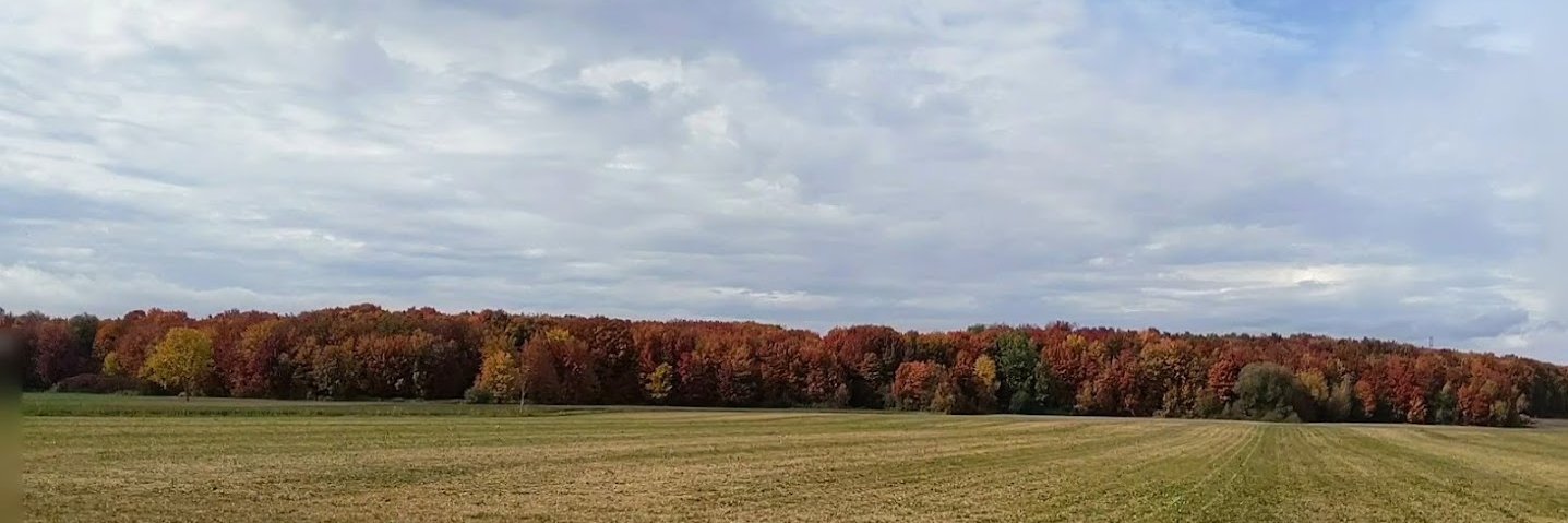 Quebecoise_56's profile banner image