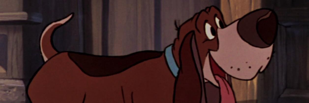 Toby Holleran banner