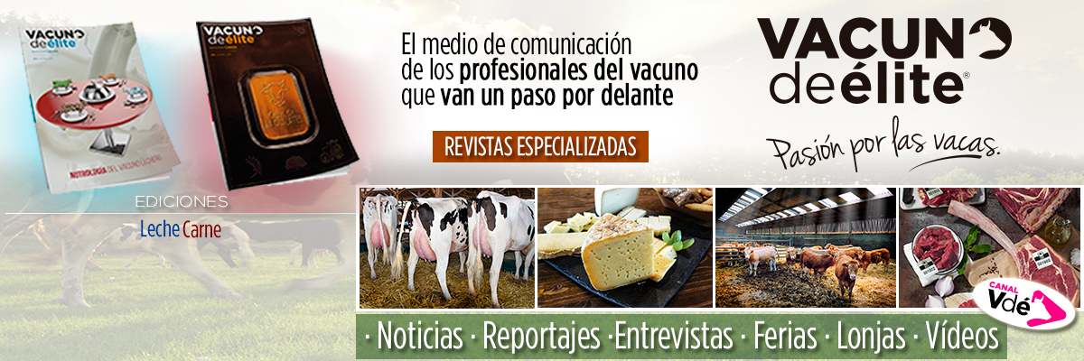 Vacuno de élite banner