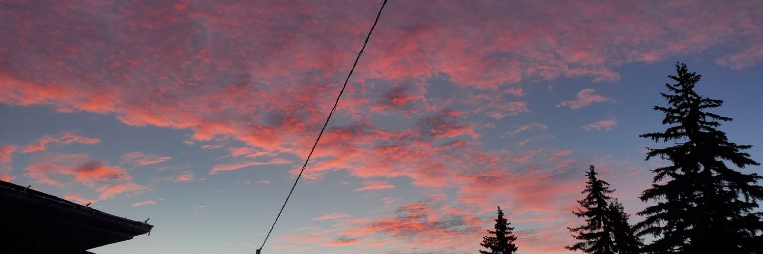 usagii97's profile banner image