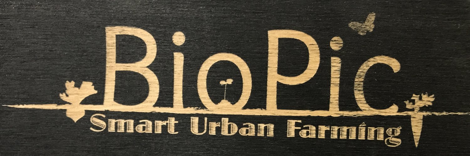 BioPic_it's profile banner image