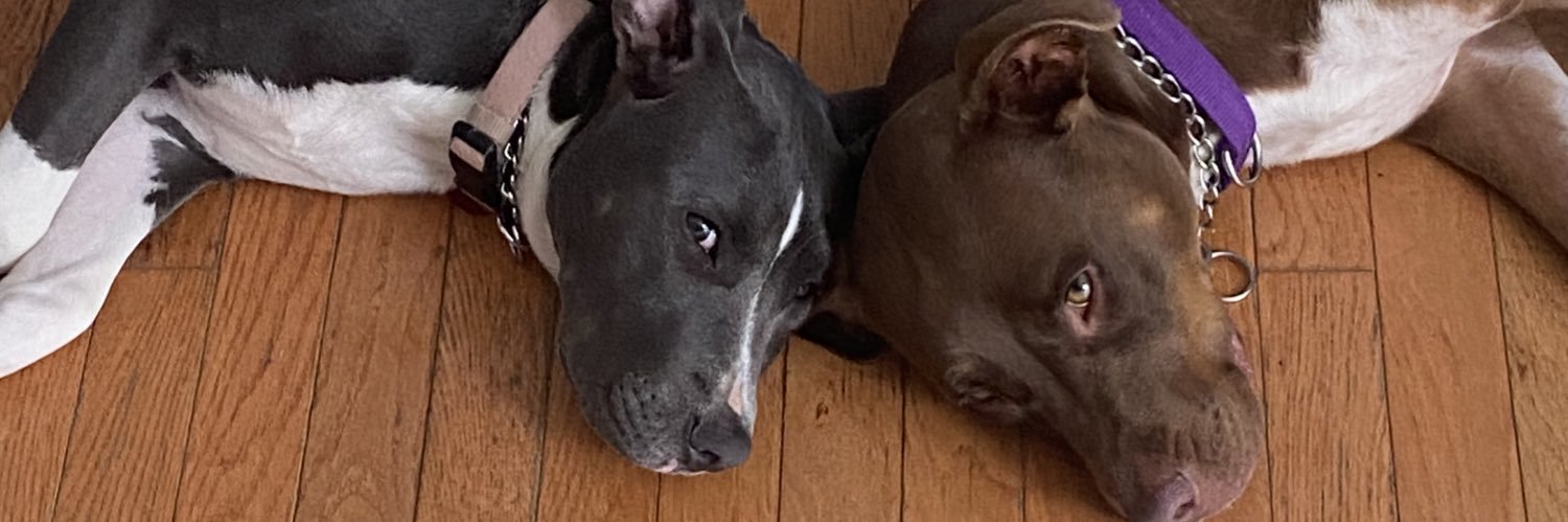 Mike Lockhart banner