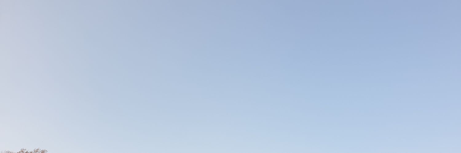 lsu0811's profile banner image
