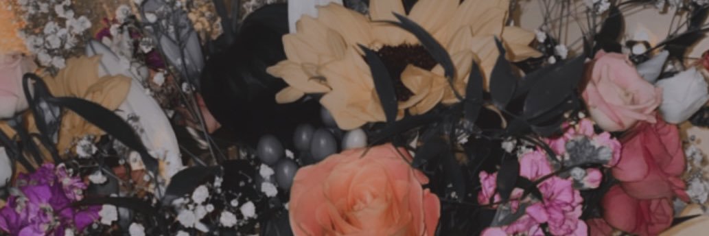 akymsamonte's profile banner image