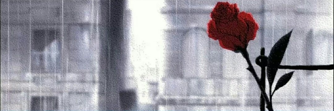 Scott Summers❤️‍🔥🇵🇷 banner