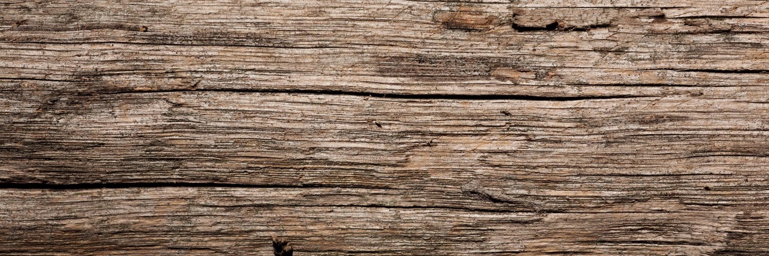 emmatdedman1's profile banner image